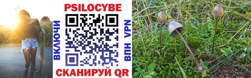 Псилоцибиновые грибы Magic Shrooms  Пролетарск 